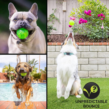 Durasqueak Dog Ball Dog Toys (Interactive Dog Toys That Float&Squeak) Squeaky Dog Toys&Dog Balls for Playing,Fetching&Retrieving-Great Alternative to Traditional Tennis Balls Green 2.5 Inch