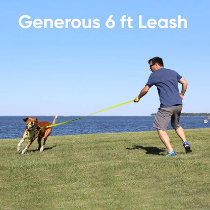 Pet Puppy Leash Reflective Dog Leash Comfortable Handle Highly Reflective Threads Heavy Duty Dog Training Leash Available as a 6 Ft Dog Leash or 4 Ft Dog Leash