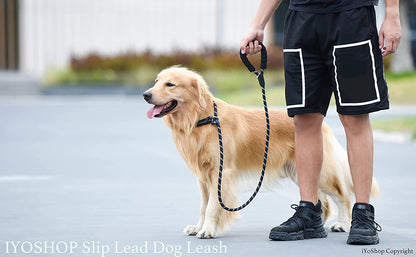 6 FT Durable Slip Lead Dog Leash with Padded Handle and Highly Reflective Threads, Dog Training Leash, (Small, 0~35 Lbs, Black)