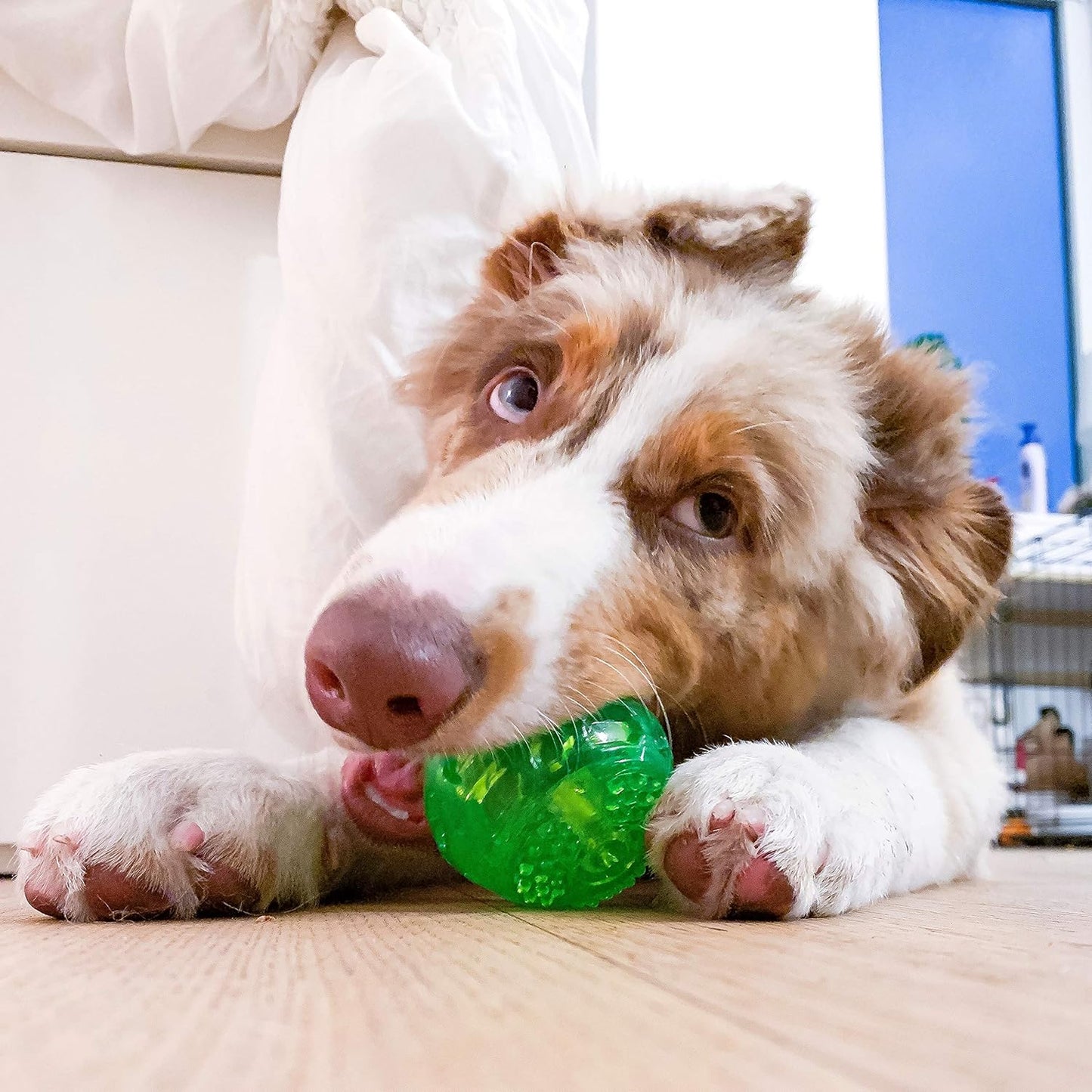 Durasqueak Dog Ball Dog Toys (Interactive Dog Toys That Float&Squeak) Squeaky Dog Toys&Dog Balls for Playing,Fetching&Retrieving-Great Alternative to Traditional Tennis Balls Green 2.5 Inch