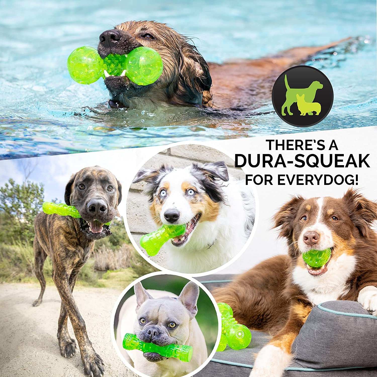 Durasqueak Dog Ball Dog Toys (Interactive Dog Toys That Float&Squeak) Squeaky Dog Toys&Dog Balls for Playing,Fetching&Retrieving-Great Alternative to Traditional Tennis Balls Green 2.5 Inch